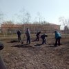 Всероссийская акция \"Сад Памяти\"